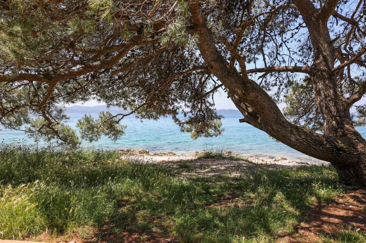 Hostel Hi Zadar